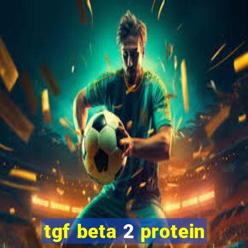 tgf beta 2 protein